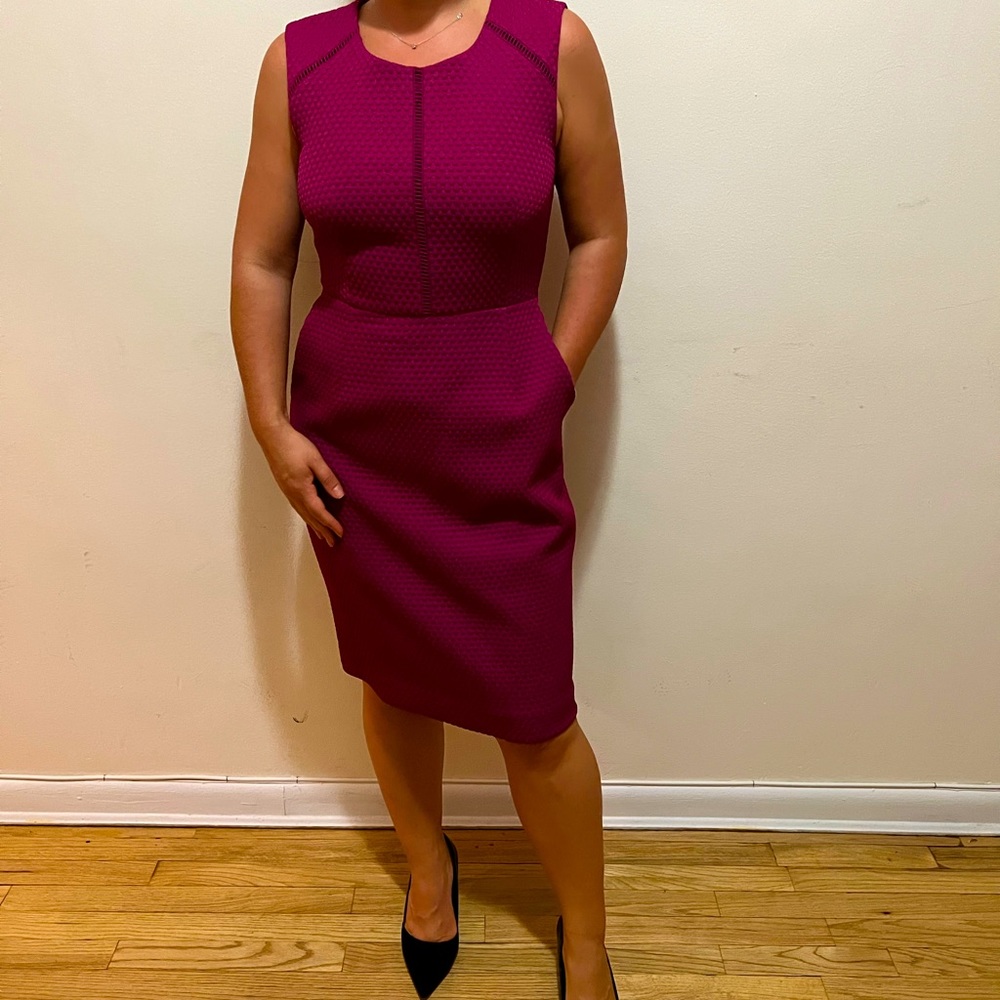 J.Crew Raspberry Shift Dress size 6